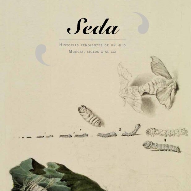 SEDA · Historias pendientes de un hilo ·