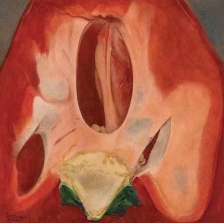 ALEJANDRO FRANCO · Naturalezas